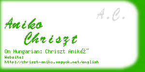 aniko chriszt business card